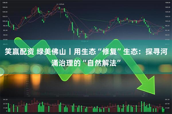 笑赢配资 绿美佛山丨用生态“修复”生态：探寻河涌治理的“自然解法”