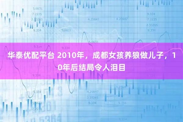 华泰优配平台 2010年，成都女孩养狼做儿子，10年后结局令人泪目