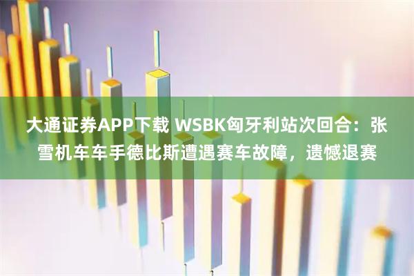 大通证券APP下载 WSBK匈牙利站次回合：张雪机车车手德比斯遭遇赛车故障，遗憾退赛