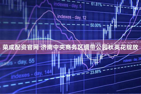 荣成配资官网 济南中央商务区绸带公园秋英花绽放